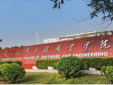 武汉软件工程职业学院云教室声学、光学录播系统设备安装采购项目中标公告